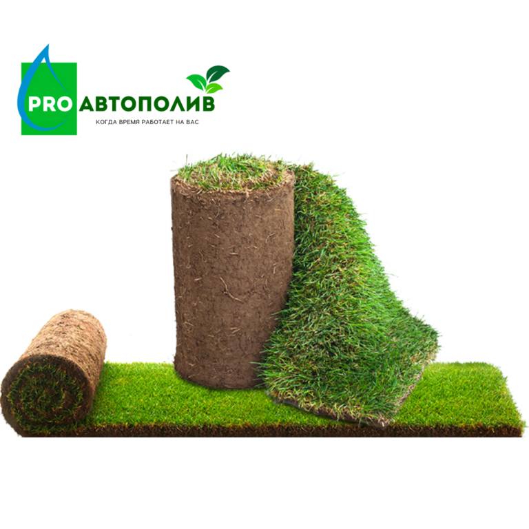 РУЛОННЫЙ ГАЗОН<br><span style="font-weight: 400;">100% гарантия приживаемости</span><br>